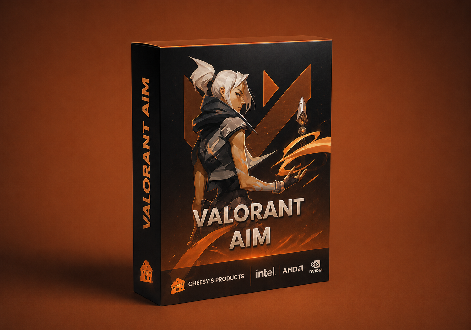 Valorant Aim V2