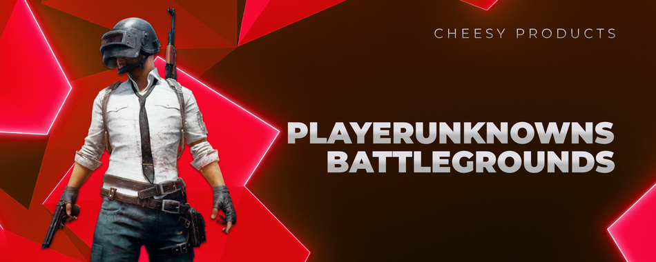PlayerUnknowns BattleGrounds cheats